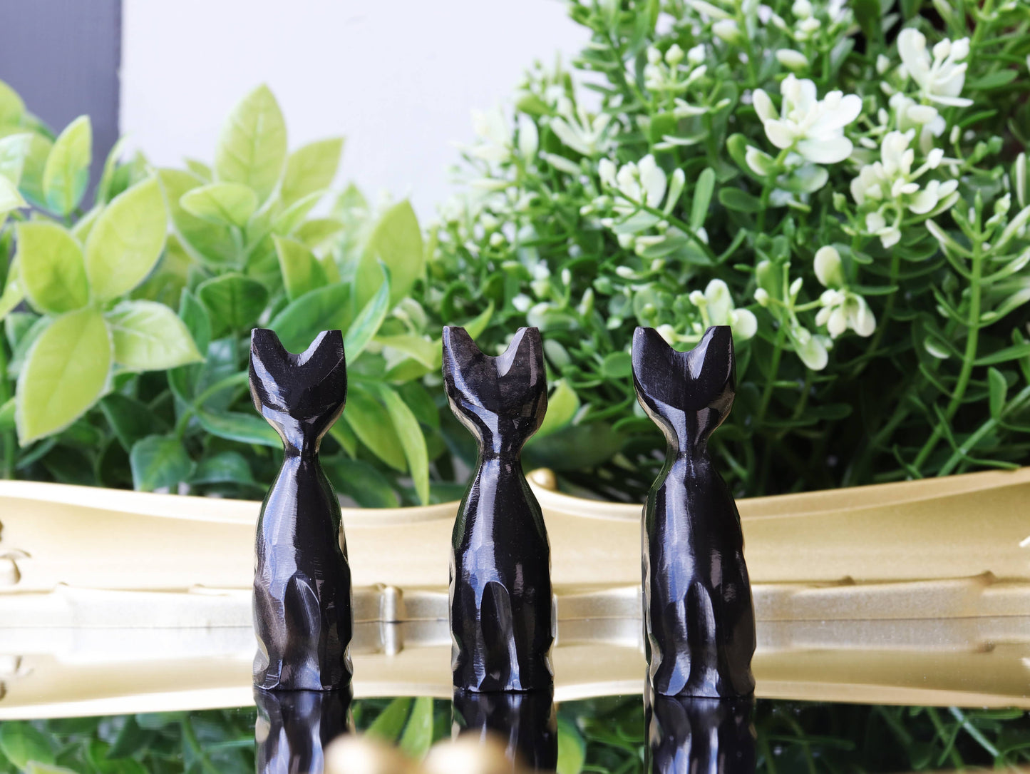 Obsidian Cat, Black