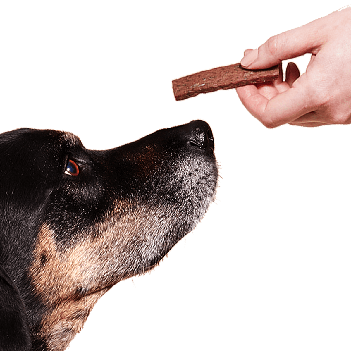 Dog treats, Super Strips