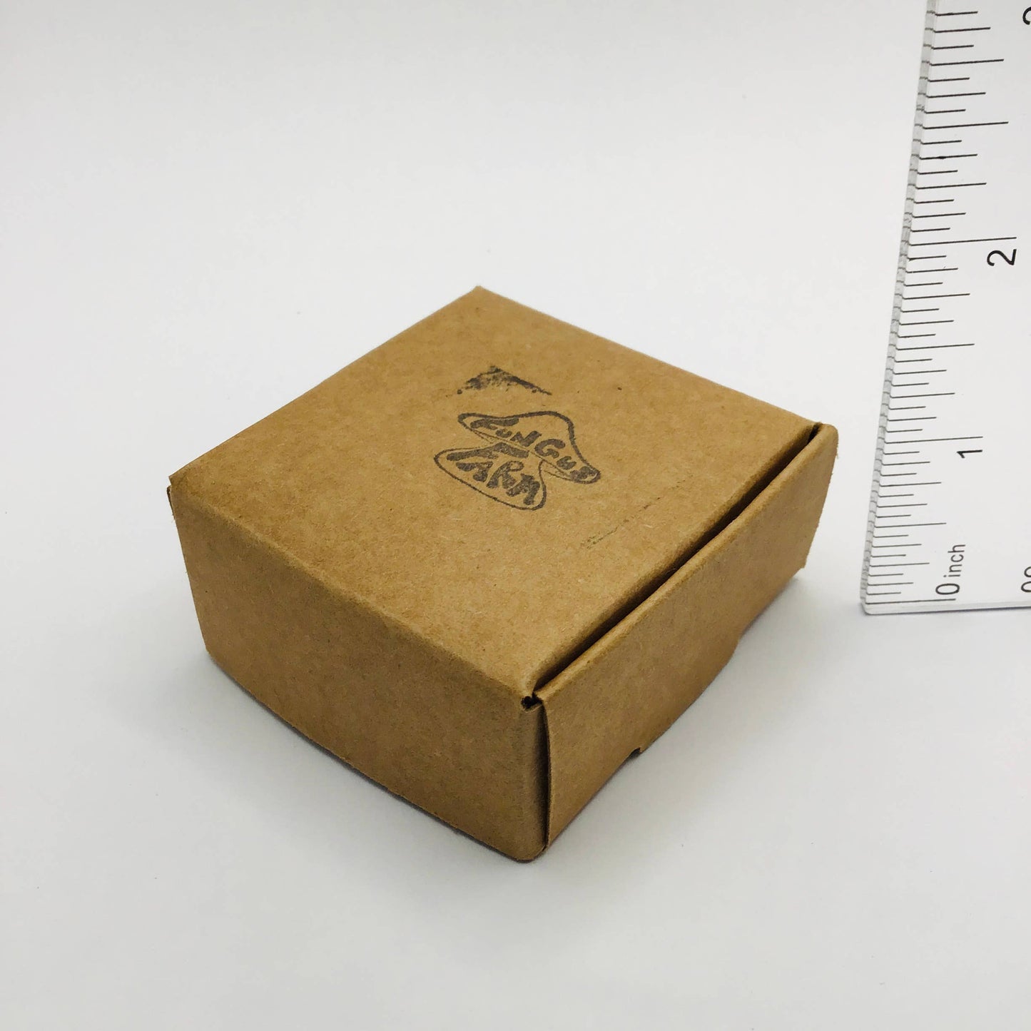 Mushroom Decor Curiosity Jar Fungi Curio 1.75"