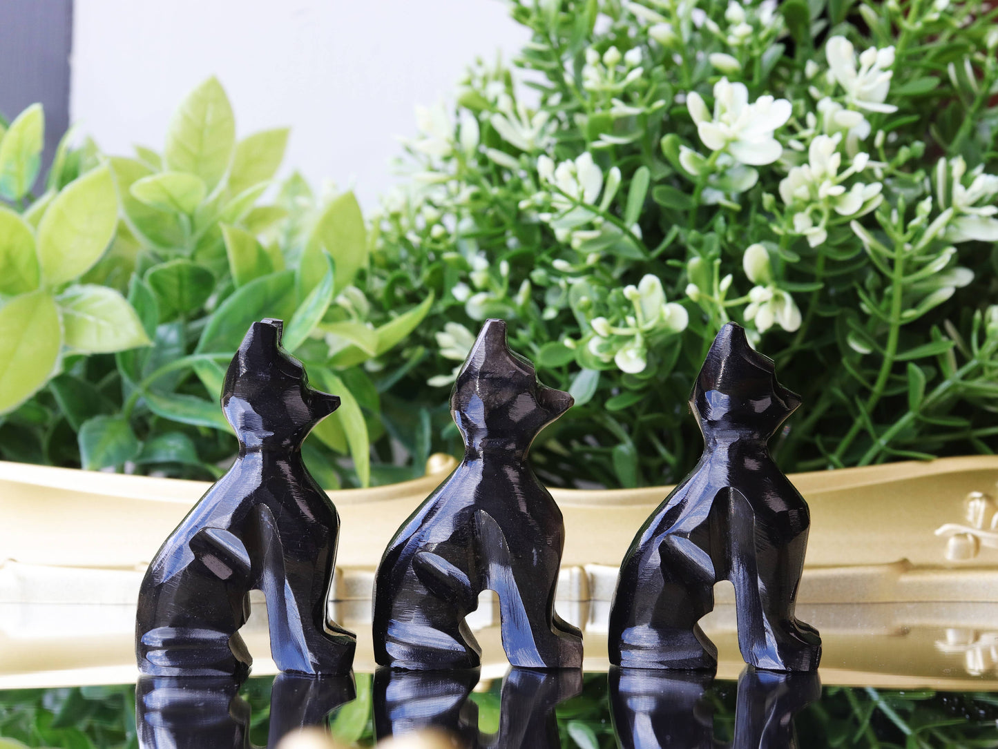 Obsidian Cat, Black