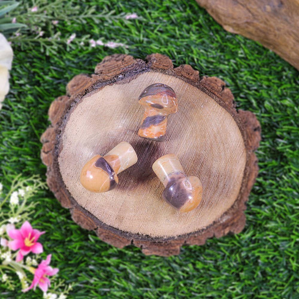 Tiger Jasper Mushroom - Tiger Jasper Gemstone