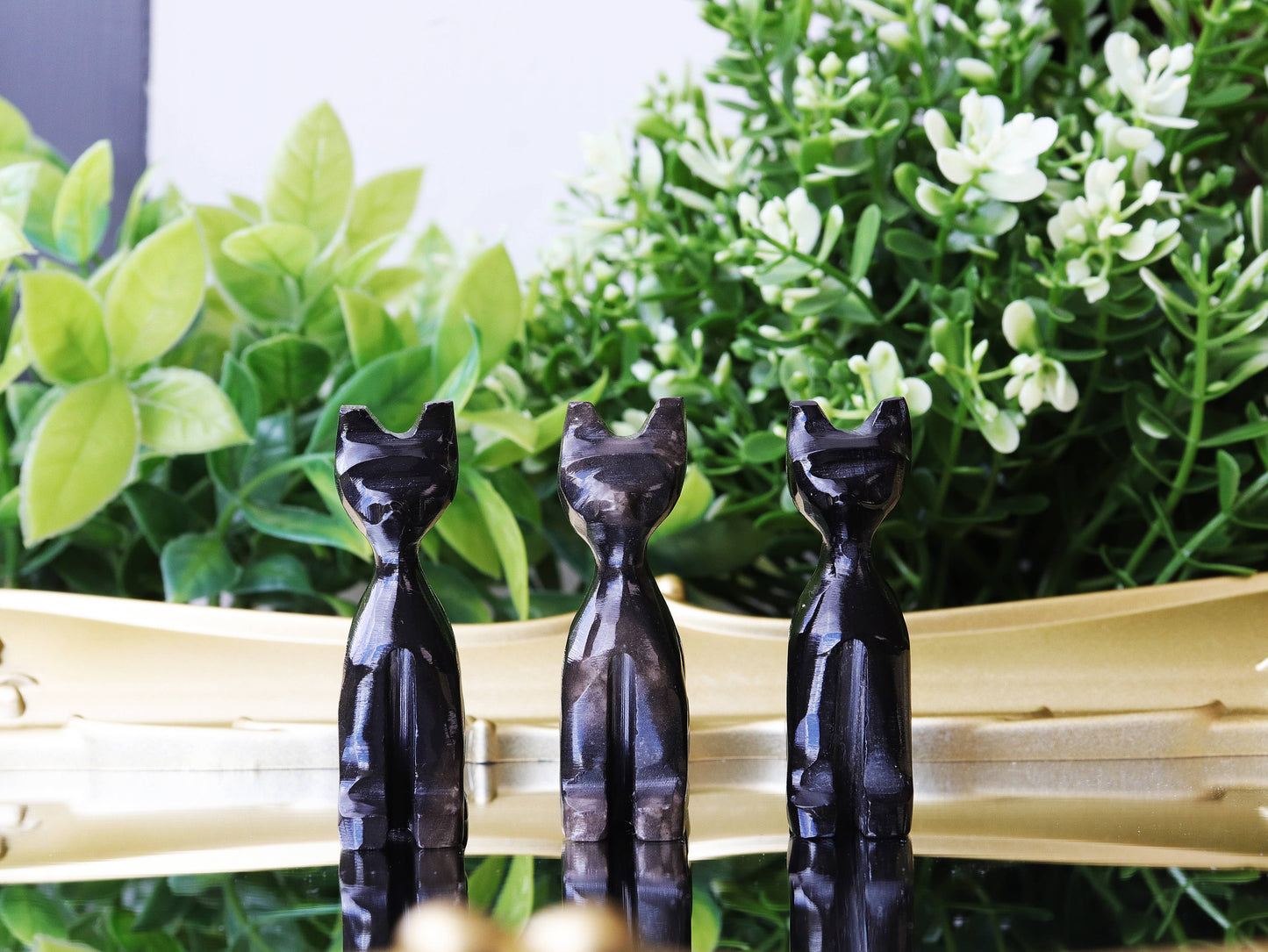 Obsidian Cat, Black