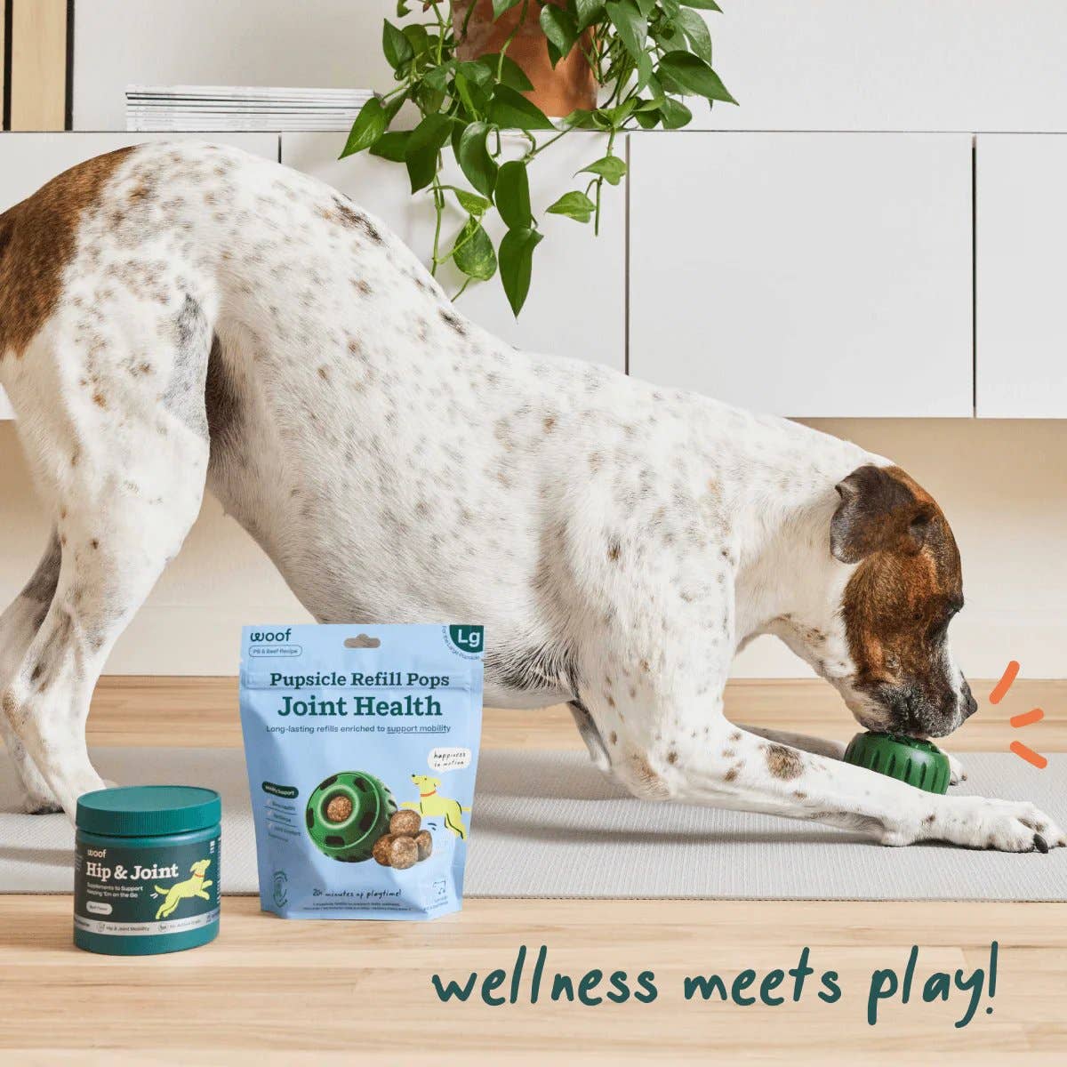 Dog treats, Hip & Joint Wellness Pops
