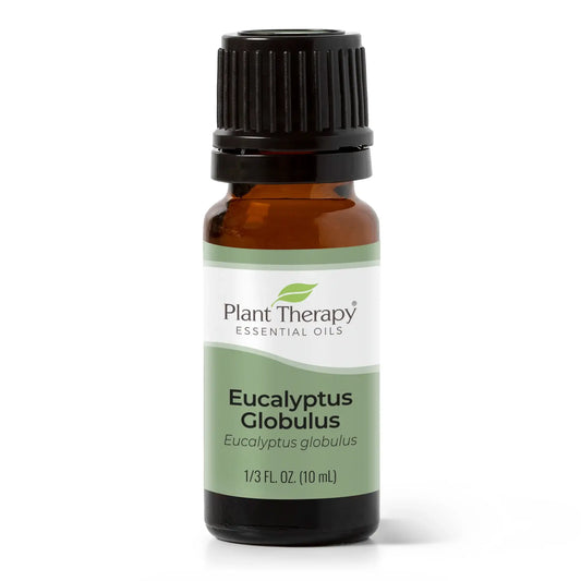 Oil Eucalyptus Globulus Essential 10 mL