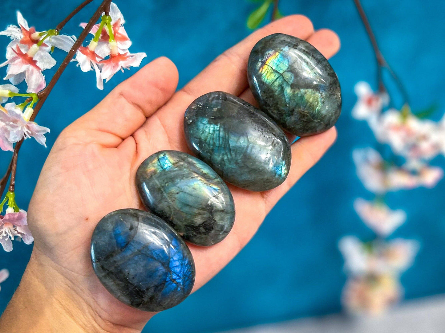 Palm Stone, Labradorite