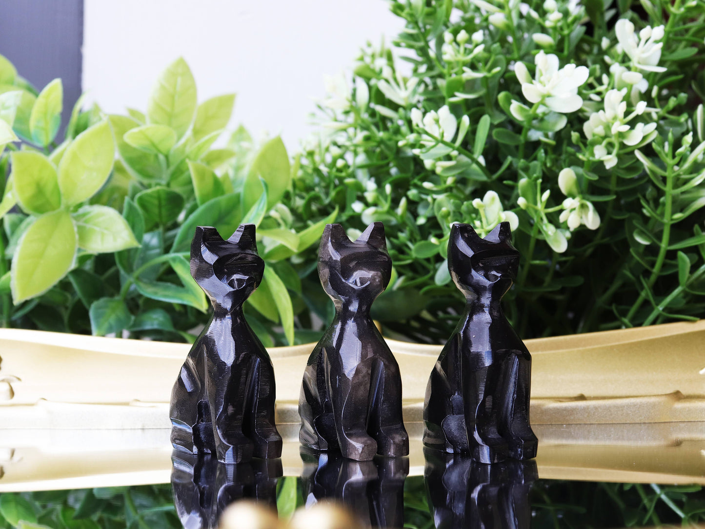 Obsidian Cat, Black