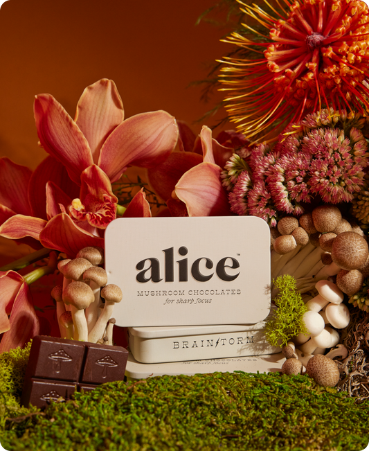 Alice, Brainstorm — mushroom chocolates for focus