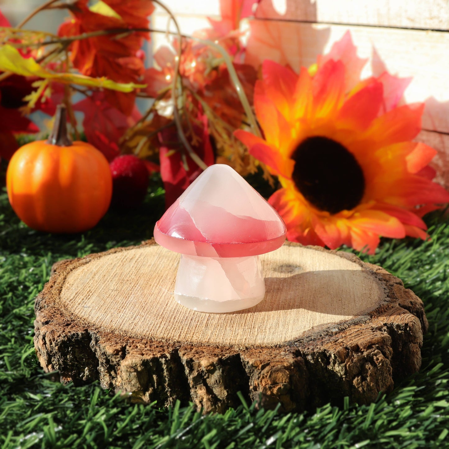 White Onyx Mushroom with Red Top | White Onyx Crystal