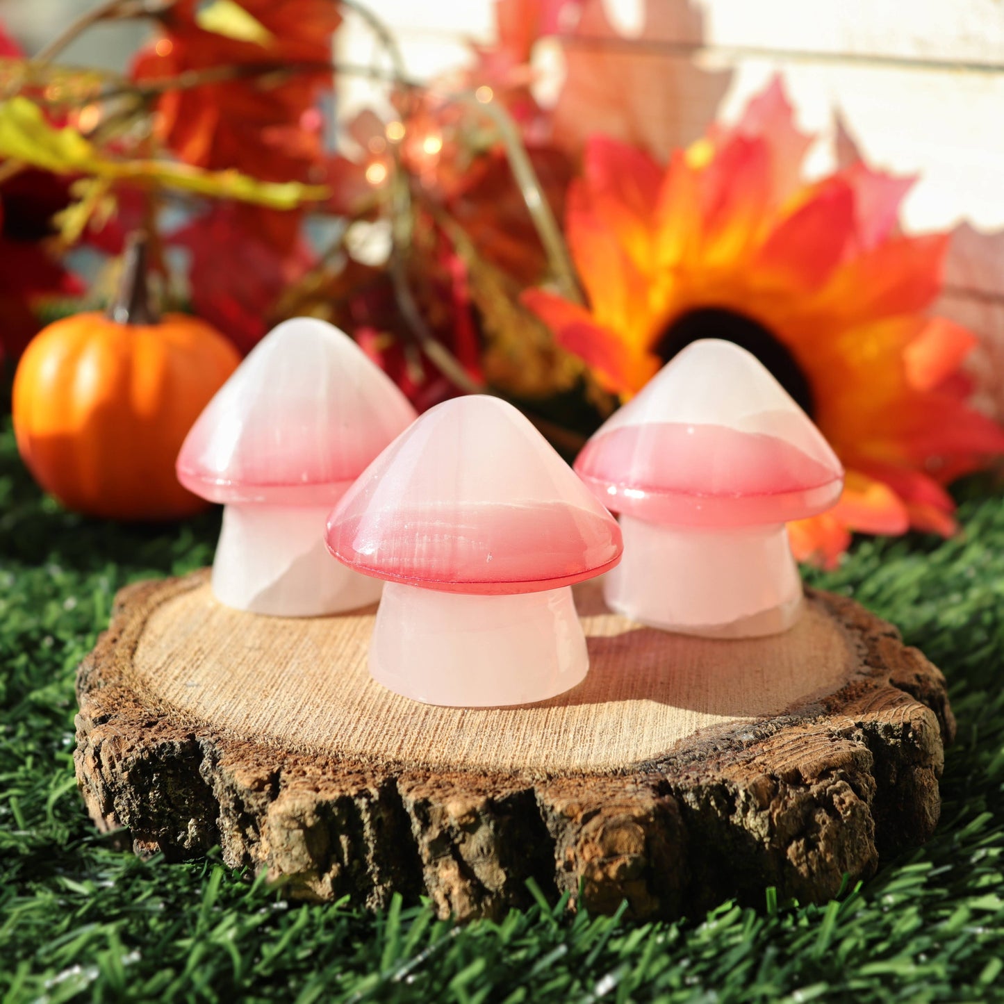 White Onyx Mushroom with Red Top | White Onyx Crystal