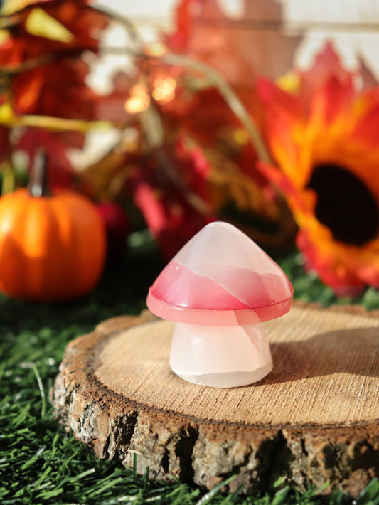 White Onyx Mushroom with Red Top | White Onyx Crystal