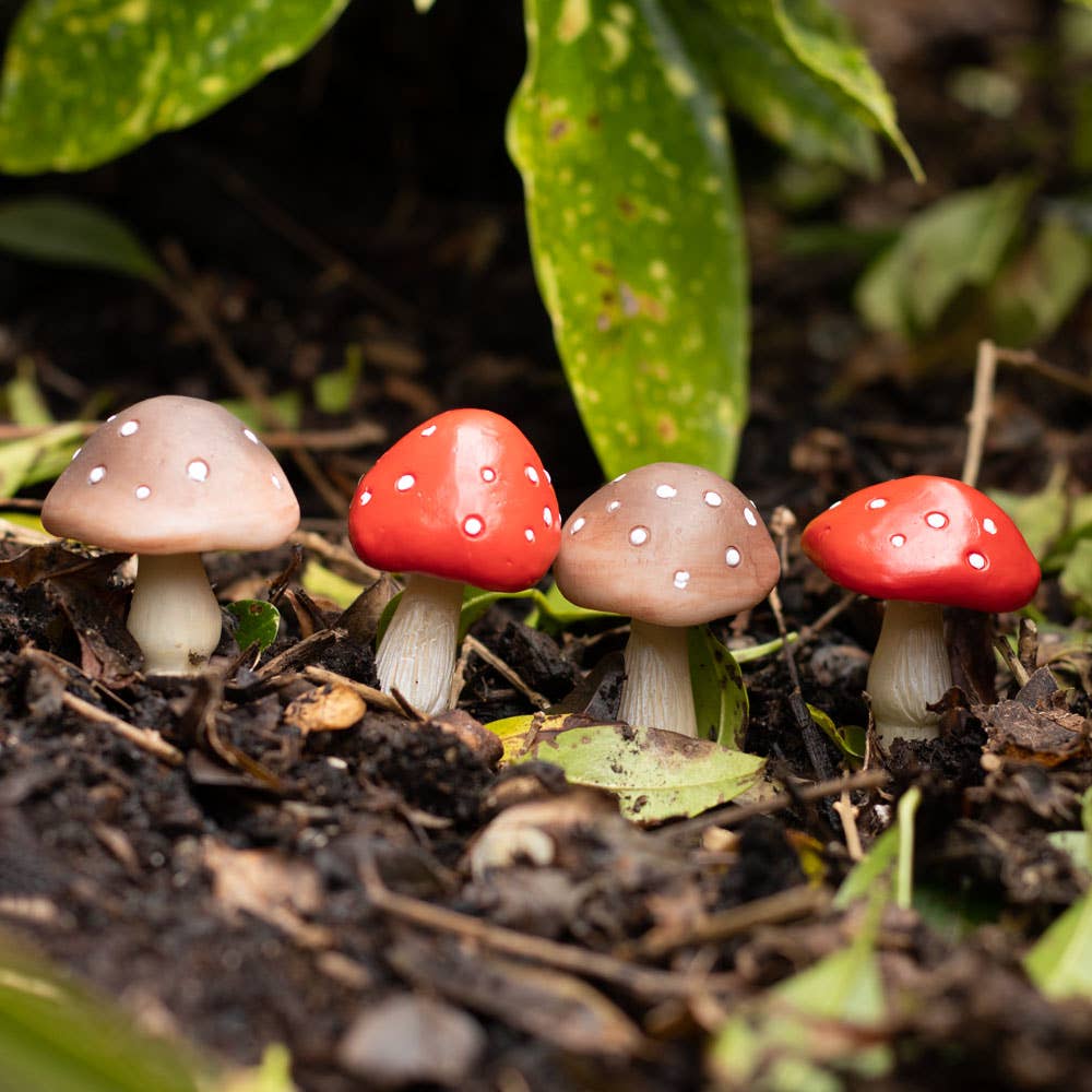 Plant Pot Pals Set of 4 Mini Mushroom