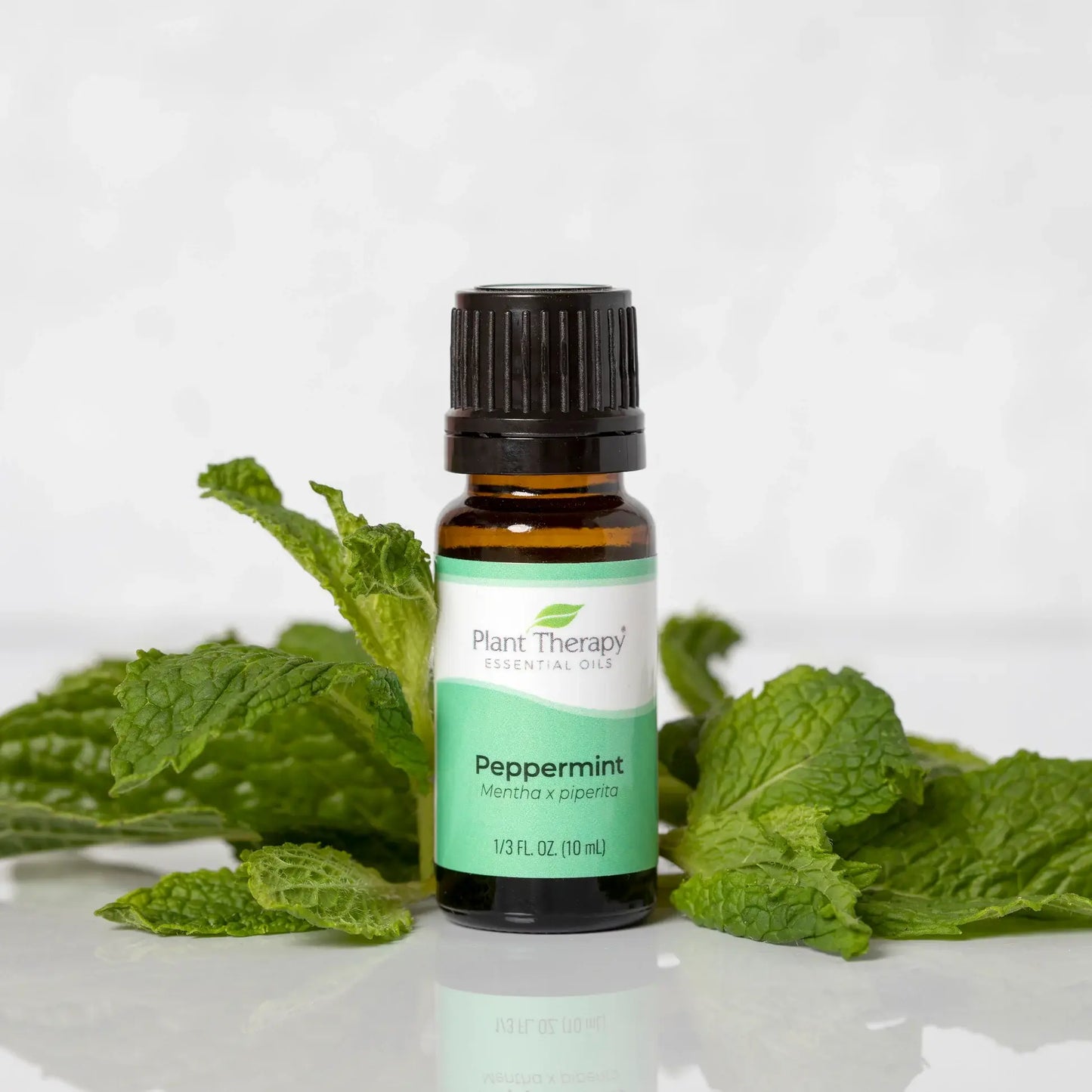 Oil ~ Peppermint Essential 10 mL