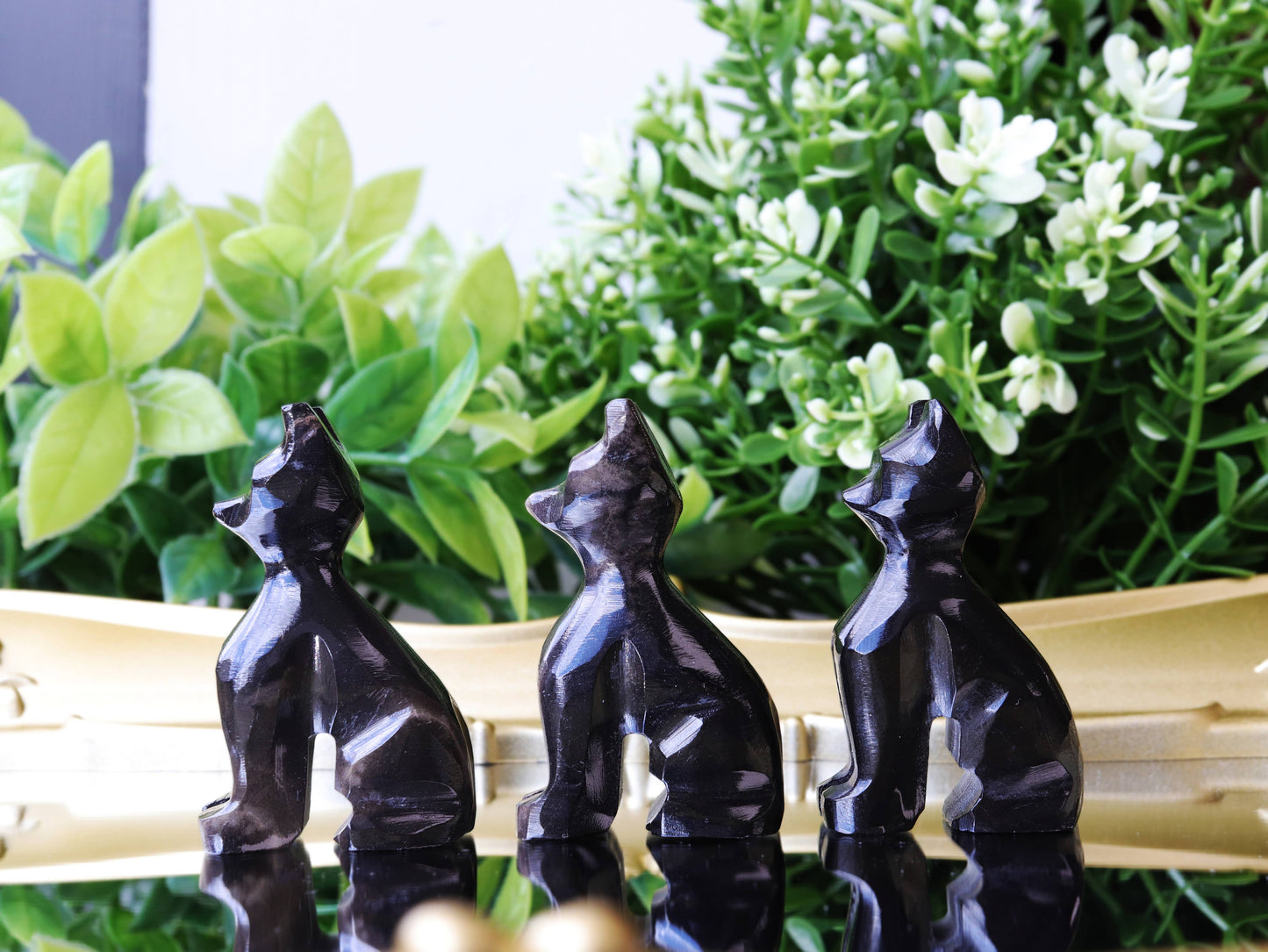 Obsidian Cat, Black