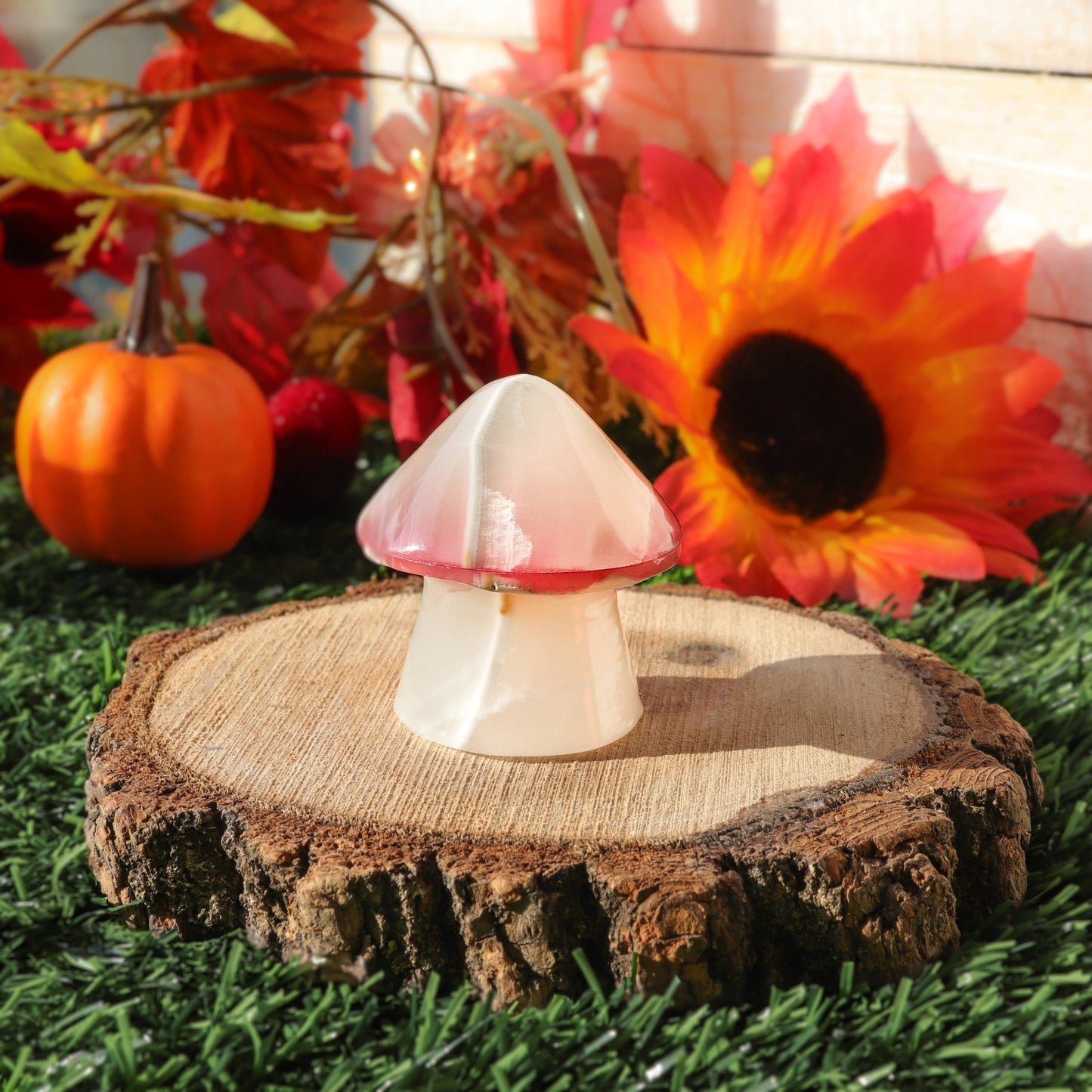 White Onyx Mushroom with Red Top | White Onyx Crystal