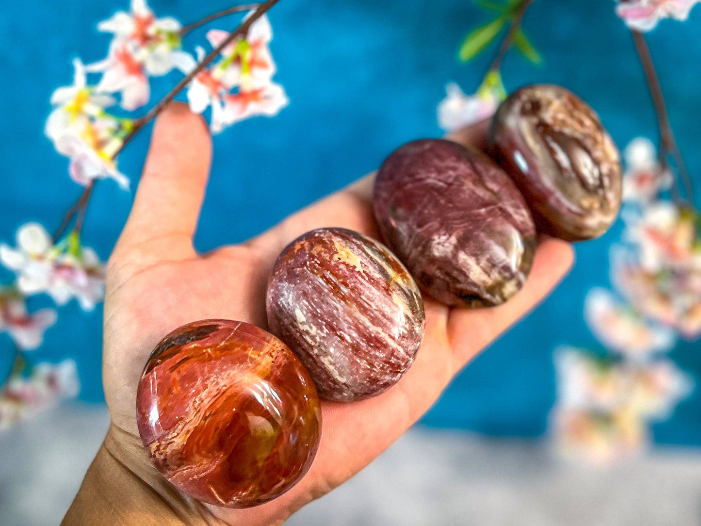 Palm Stone, Petrified Wood