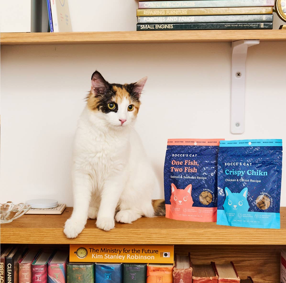 Bocce's Bakery One Fish, Two Fish Cat Treats