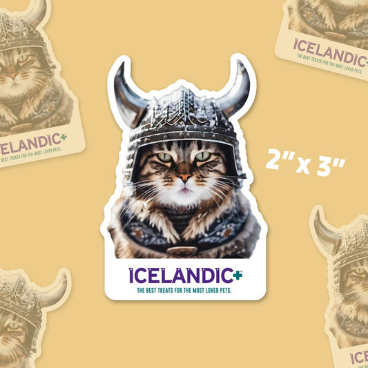 Viking Cat Magnet