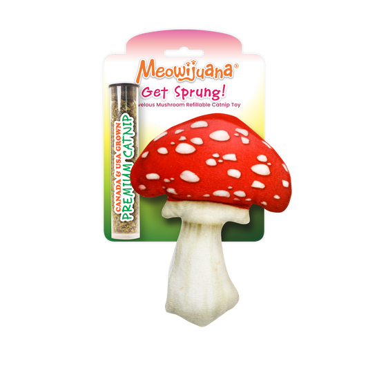 Cat toy, Get Sprung Refillable Mushroom