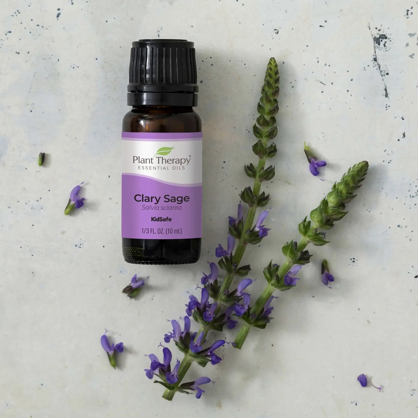 Clary Sage Essential Oil Pre-Diluted Roll-On 10 mL