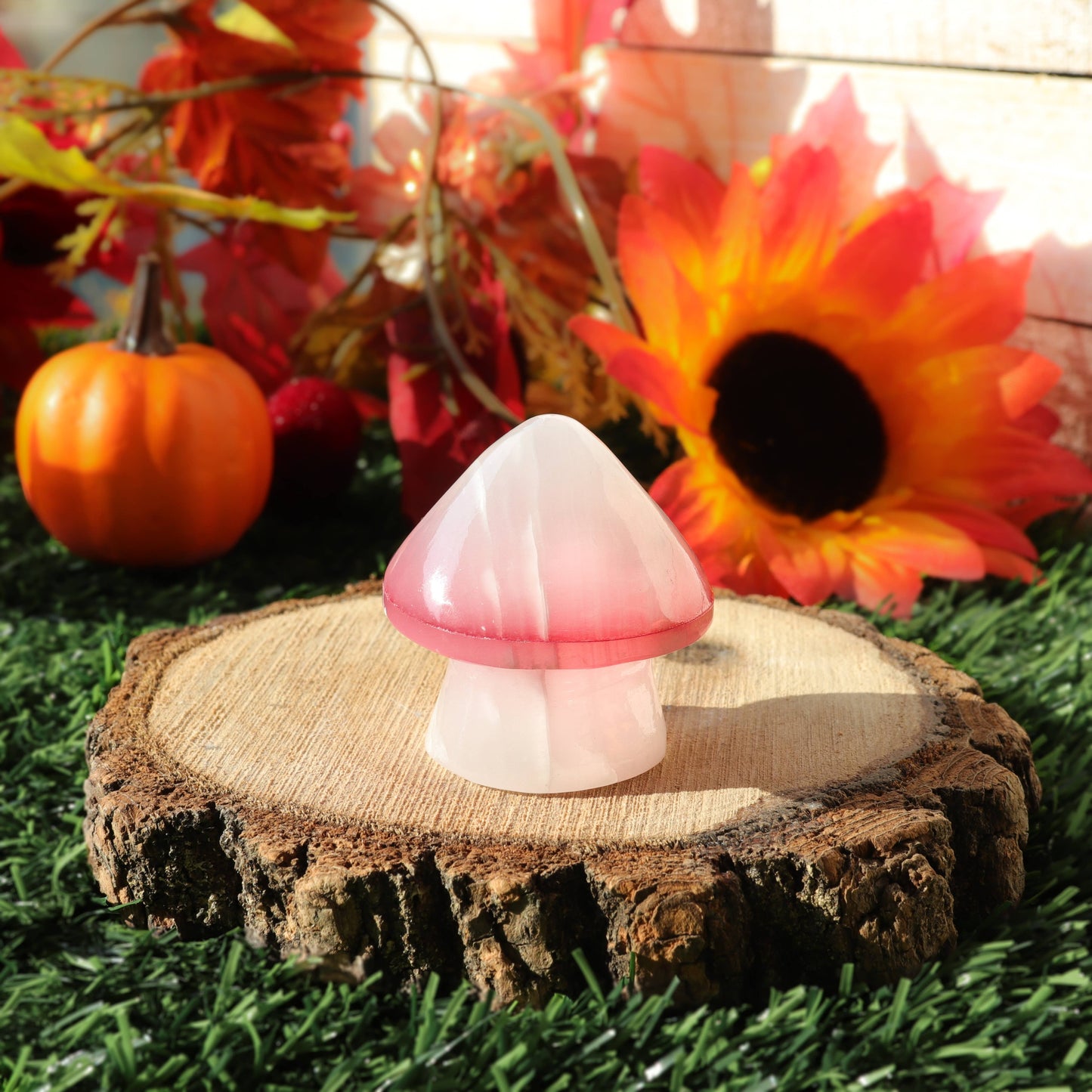 White Onyx Mushroom with Red Top | White Onyx Crystal