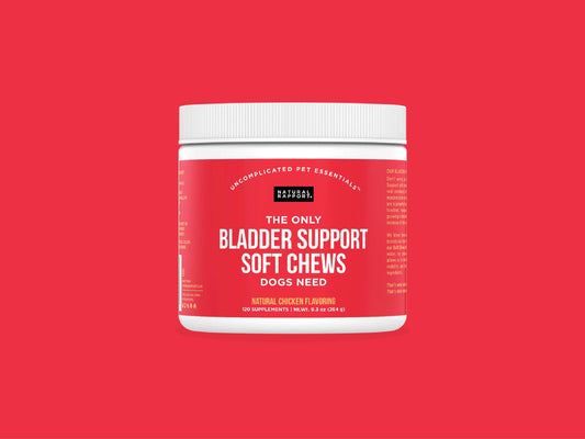 The Only Bladder Support Soft Chews Dogs Need