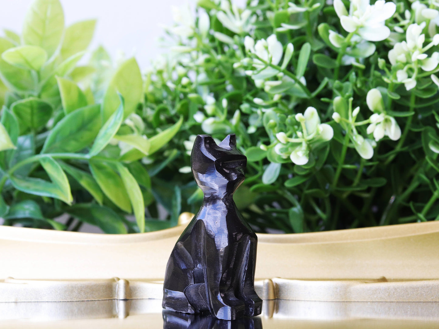 Obsidian Cat, Black