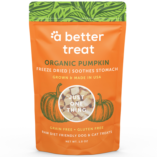 Dog and Cat Treats, Freeze Dried Raw USDA Organic Pumpkin