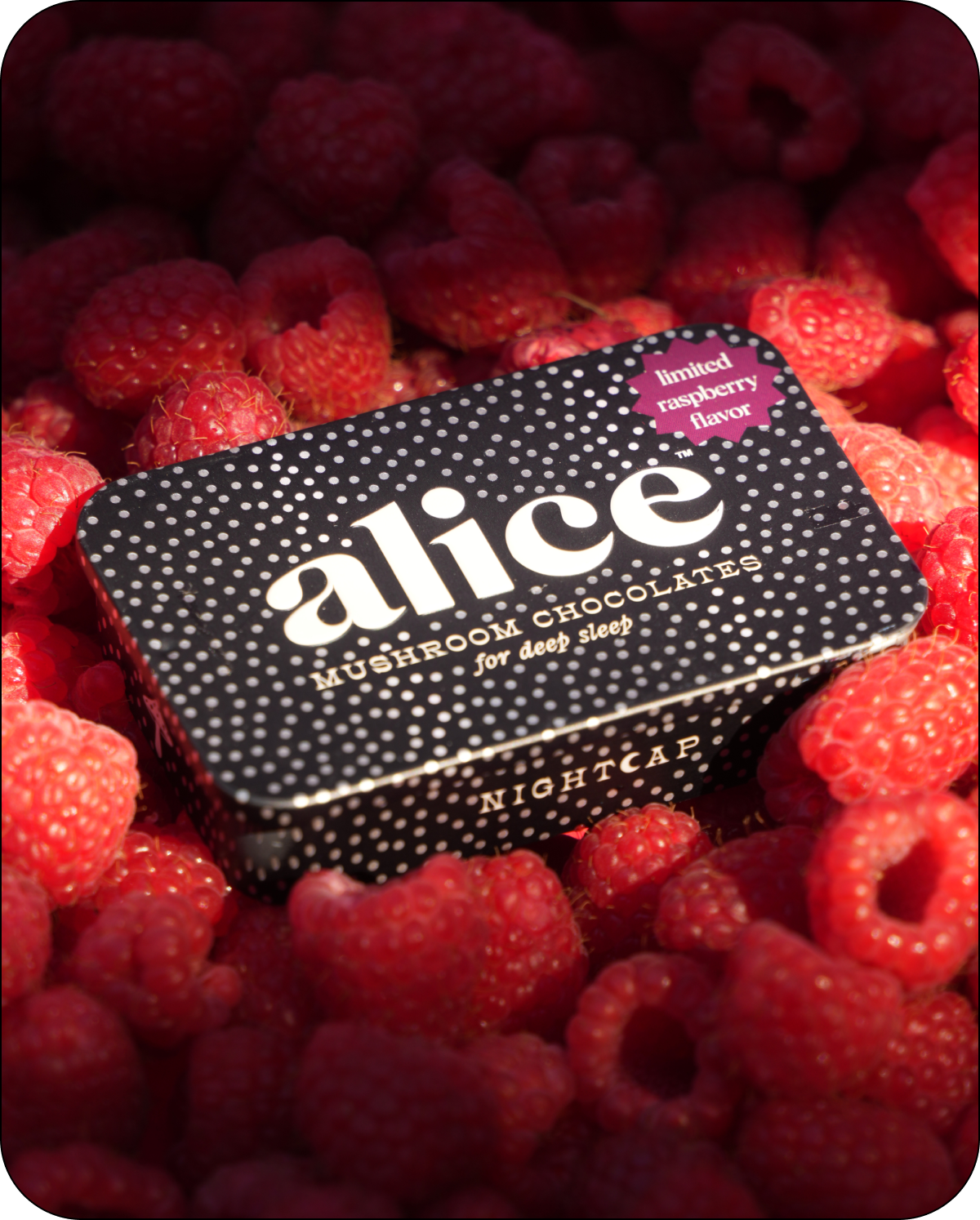 Alice, LIMITED HOLIDAY FLAVOR: Raspberry Nightcap — deep sleep