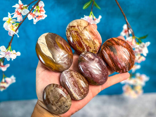 Palm Stone, Petrified Wood