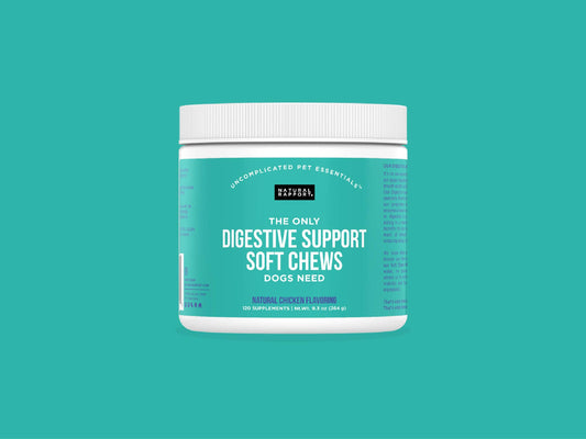 The Only Digestive Support Soft Chews Dogs Need