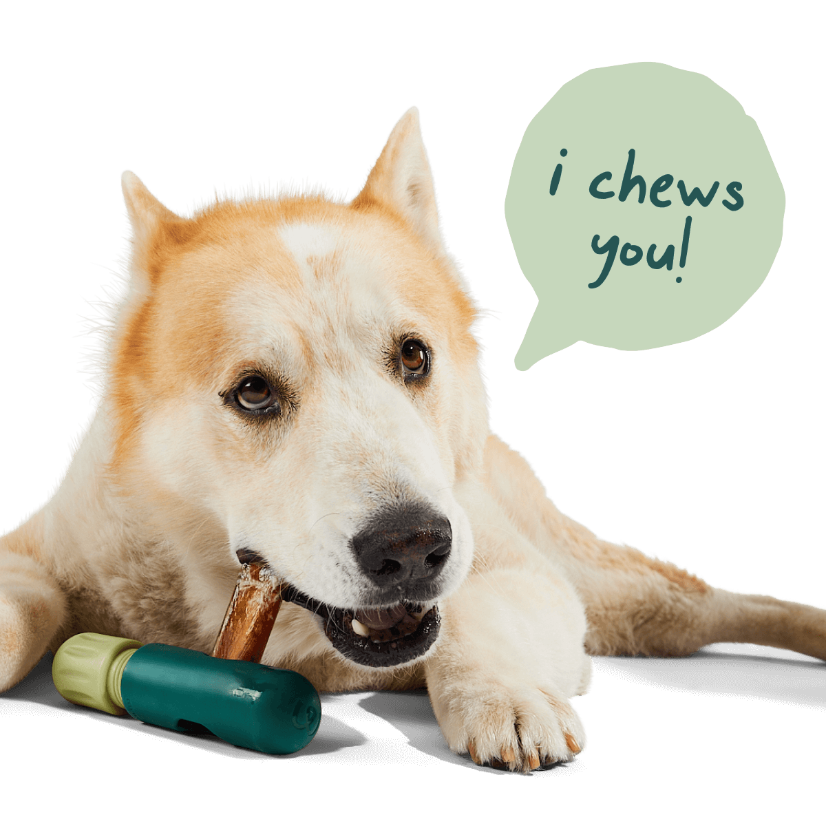 Woof, Dog Treats, BullySafe Chews - Pure Collagen