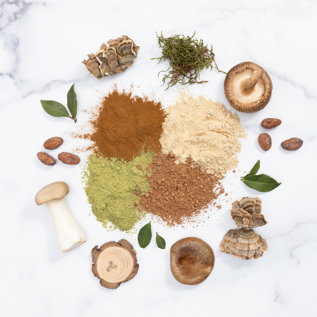 Be Well Organic Turkey Tail Mushroom Powder Drink Mix