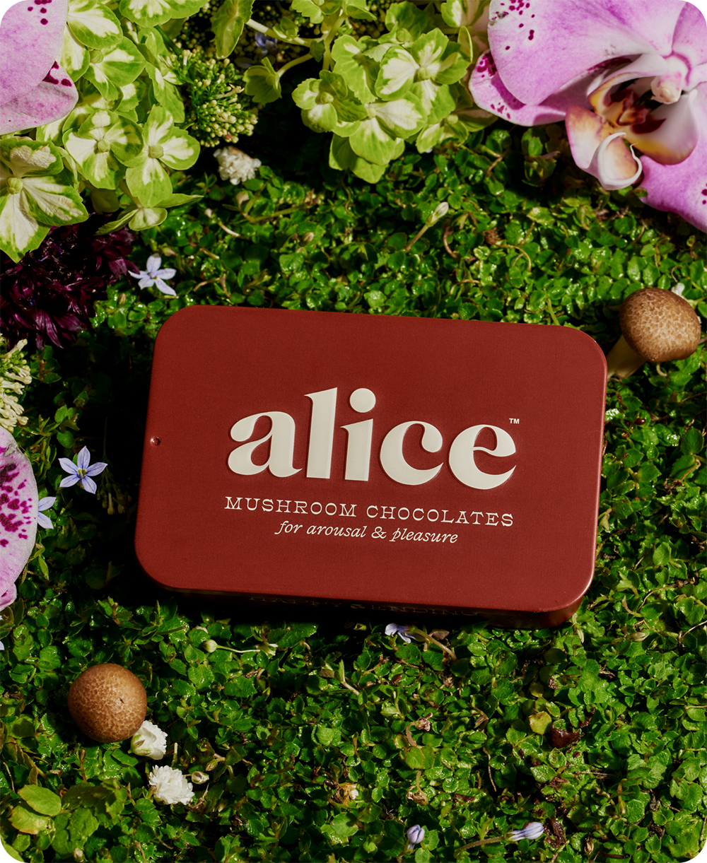 Alice, Happy Ending - mushroom chocolate for arousal