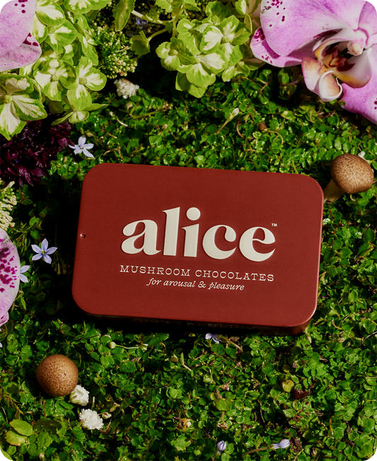 Alice, Happy Ending - mushroom chocolate for arousal